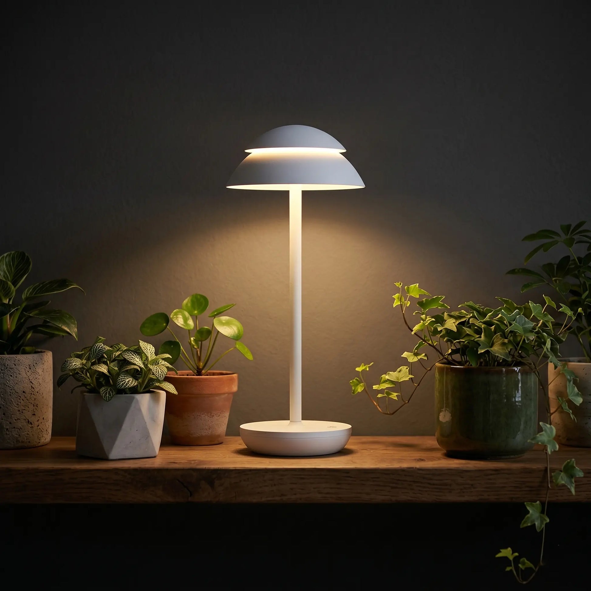 Aesthix Lume Domo modern mushroom lamp black base indoor plants dark room warm light UK